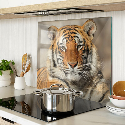 Glass kitchen board Tiger in a natural setting