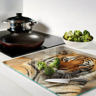 Glass kitchen board Tiger in a natural setting