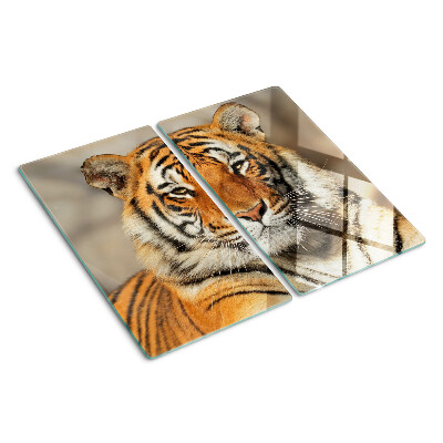 Glass kitchen board Tiger in a natural setting