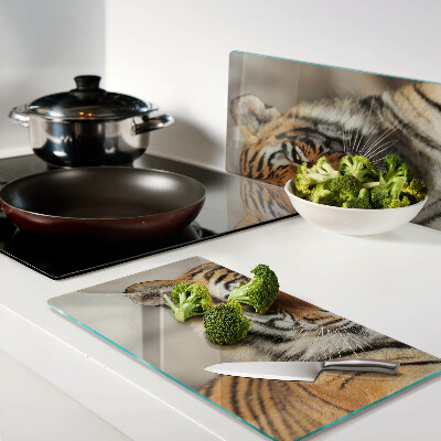 Glass kitchen board Tiger in a natural setting