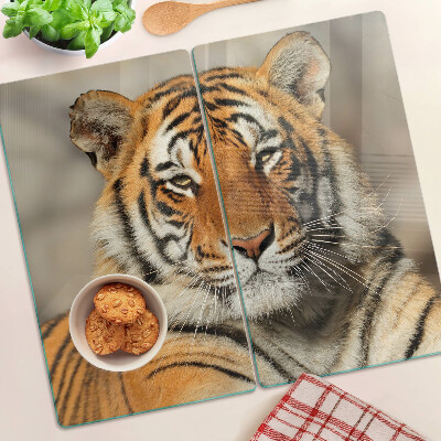 Glass kitchen board Tiger in a natural setting