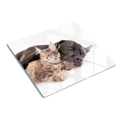 Glass kitchen board Cat and dog sleeping together