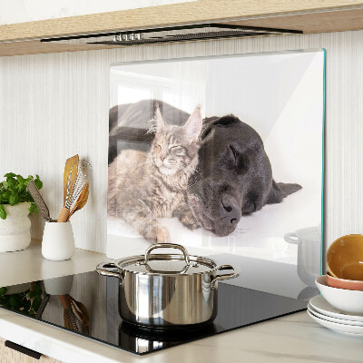 Glass kitchen board Cat and dog sleeping together