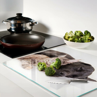 Glass kitchen board Cat and dog sleeping together