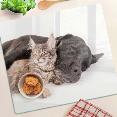Glass kitchen board Cat and dog sleeping together