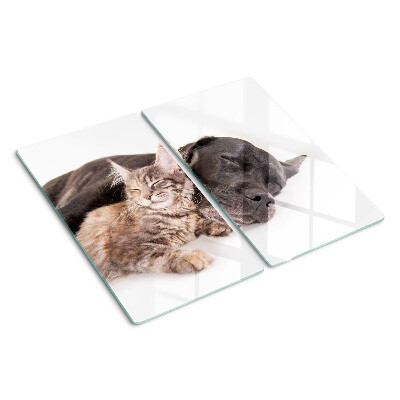 Glass kitchen board Cat and dog sleeping together