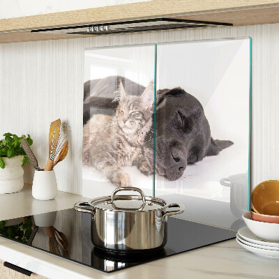 Glass kitchen board Cat and dog sleeping together