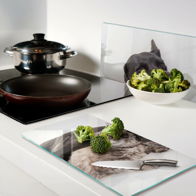 Glass kitchen board Cat and dog sleeping together