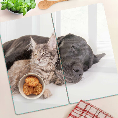 Glass kitchen board Cat and dog sleeping together