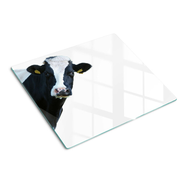 Glass kitchen board Interesting cow