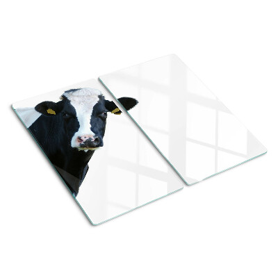 Glass kitchen board Interesting cow