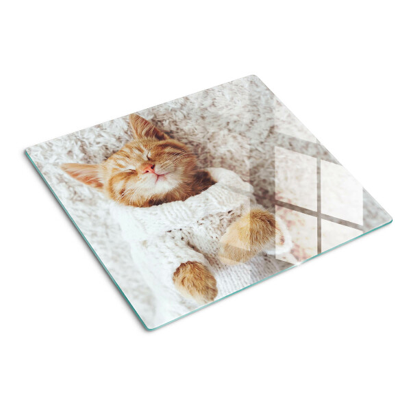 Glass kitchen board Cute kitty in a sweater