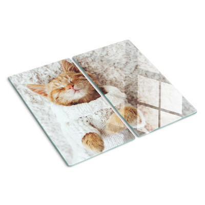 Glass kitchen board Cute kitty in a sweater