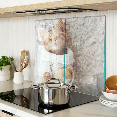 Glass kitchen board Cute kitty in a sweater