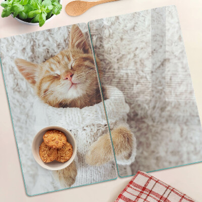 Glass kitchen board Cute kitty in a sweater