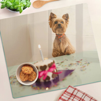 Glass kitchen board Dog at the table with cake