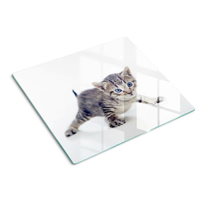 Glass chopping board Kitten with blue eyes