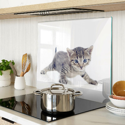 Glass chopping board Kitten with blue eyes