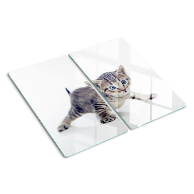 Glass chopping board Kitten with blue eyes