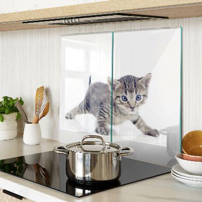 Glass chopping board Kitten with blue eyes