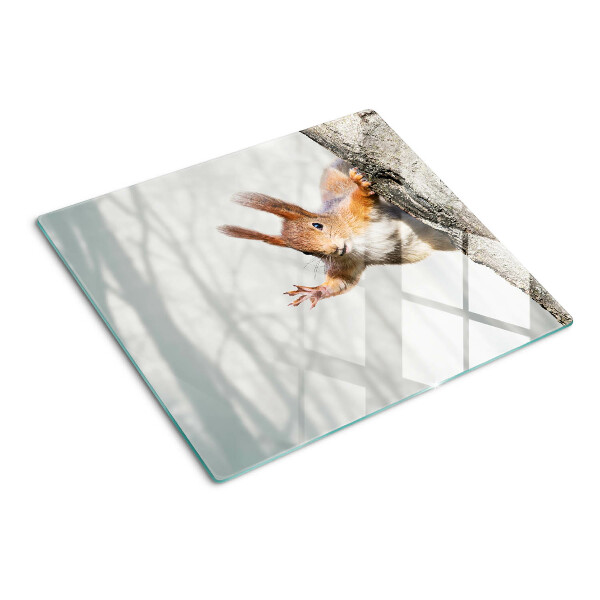 Glass chopping board Squirrel on a branch