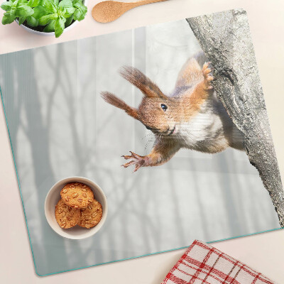 Glass chopping board Squirrel on a branch
