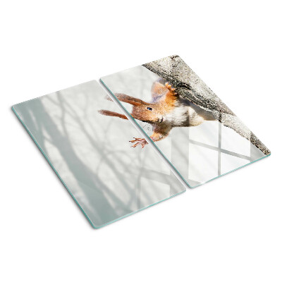 Glass chopping board Squirrel on a branch
