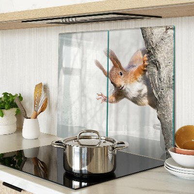 Glass chopping board Squirrel on a branch