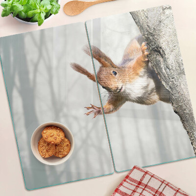 Glass chopping board Squirrel on a branch