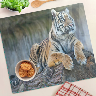 Glass kitchen board Tiger on a tree trunk