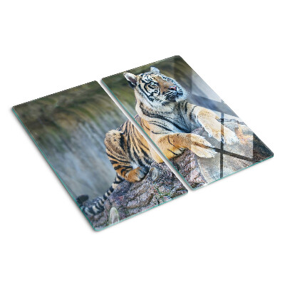 Glass kitchen board Tiger on a tree trunk