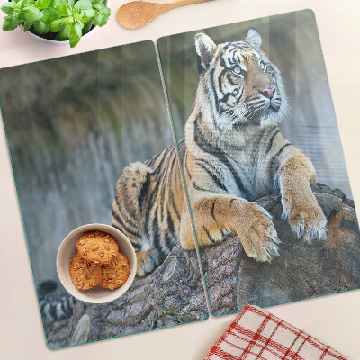 Glass kitchen board Tiger on a tree trunk