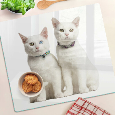 Glass kitchen board White cats with different colored eyes