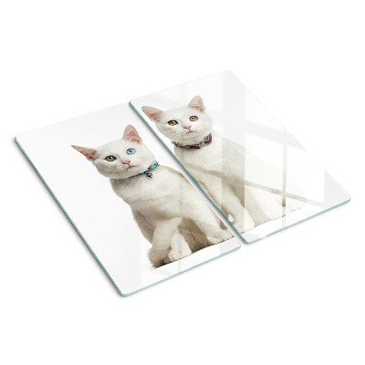 Glass kitchen board White cats with different colored eyes