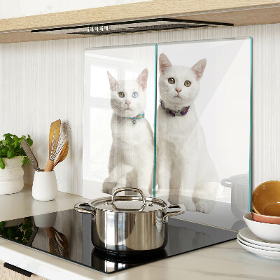 Glass kitchen board White cats with different colored eyes