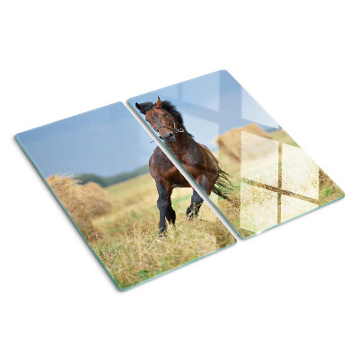 Glass chopping board Horse in the meadow