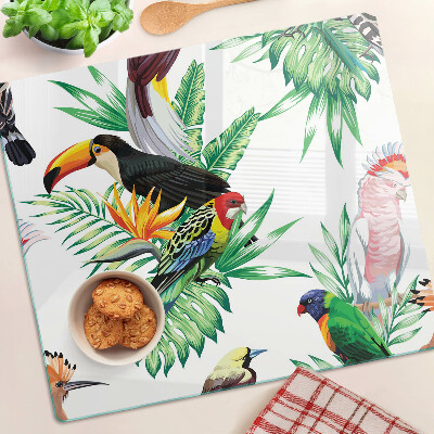 Glass kitchen board Tropical birds and leaves