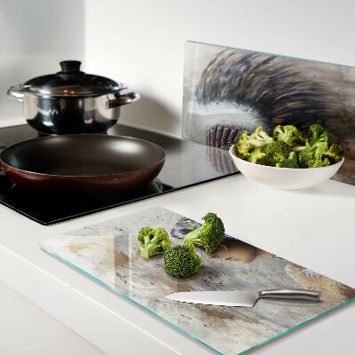 Glass kitchen board Indian with a feather headdress