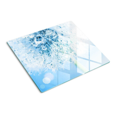 Glass kitchen board Dandelion flower with water drops