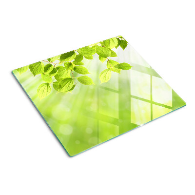 Glass kitchen board Green leaves against the light