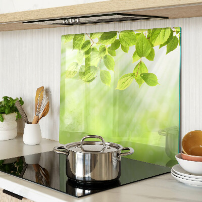 Glass kitchen board Green leaves against the light