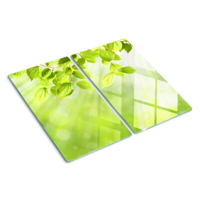 Glass kitchen board Green leaves against the light