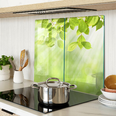 Glass kitchen board Green leaves against the light
