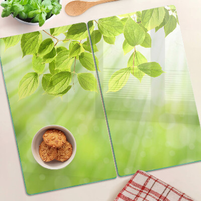 Glass kitchen board Green leaves against the light