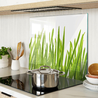 Glass kitchen board Green grass