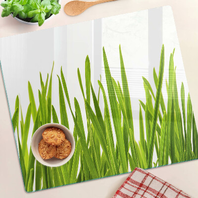 Glass kitchen board Green grass