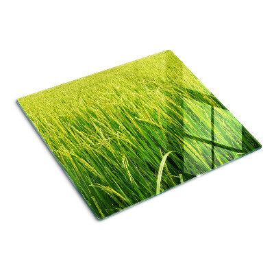 Glass chopping board Green grass field