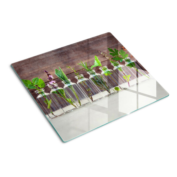 Glass kitchen board Plants in bottles