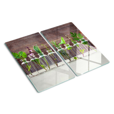 Glass kitchen board Plants in bottles
