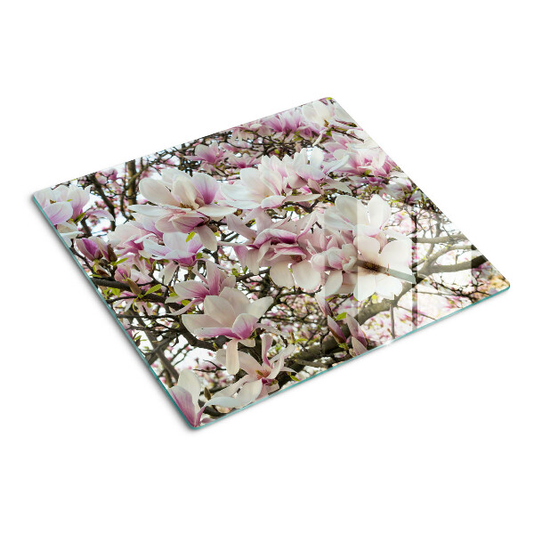 Glass kitchen board Magnolia flowers